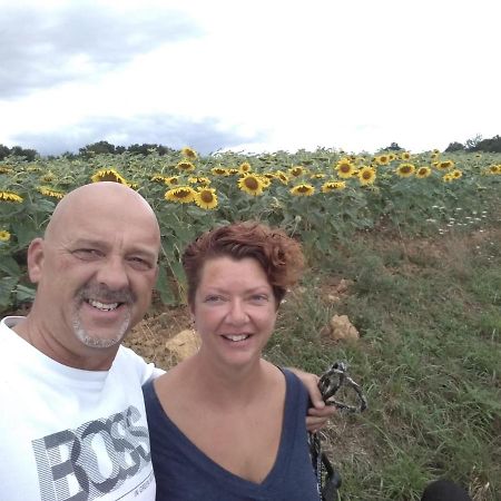 Saint-Hilaire-les-Places B&B Buddleja מראה חיצוני תמונה