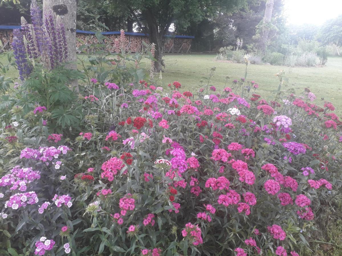Saint-Hilaire-les-Places B&B Buddleja מראה חיצוני תמונה